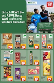 Ähnliches Angebot bei REWE in Prospekt "Dein Markt" gefunden auf Seite 21