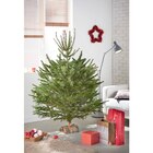SAPIN NORDMANN (2) en promo chez Carrefour Market SAPIN NORDMANN (2) dans le catalogue Carrefour Market