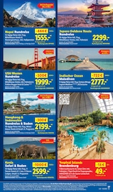 Router im Lidl Prospekt in Hof Aktueller Lidl Prospekt mit Router, "LIDL LOHNT SICH", Seite 59