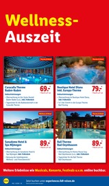 Möbel im Lidl Prospekt in Hoyerswerda Aktueller Lidl Prospekt mit Möbel, "Jetzt neu: Lidl Experience", Seite 4