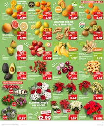 Deko Weihnachtsstern Angebot im aktuellen Kaufland Prospekt auf Seite 15