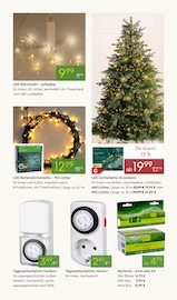 Batterien AAA im Pflanzen Kölle Prospekt in Hamburg Aktueller Pflanzen Kölle Prospekt mit Batterien AAA, "ADVENT ADVENT", Seite 5