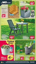 Aktueller Netto mit dem Scottie Prospekt mit Gartenstühle, "Günstig. Besser. Für Dich.", Seite 21