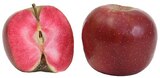 Rotfleischige Tafeläpfel im Angebot bei REWE in Soest Rotfleischige Tafeläpfel Angebote bei REWE Soest für 1,99 €