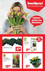 Aktueller bauSpezi Baumärkte Prospekt in Löchgau und Umgebung, "Frühlingsgefühle zum Mitnehmen!" mit 8 Seiten, 07.03.2026 - 21.03.2026