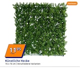 Künstliche Hecke im Angebot bei Action in Göttingen Künstliche Hecke Angebote bei Action Göttingen für 11,95 €