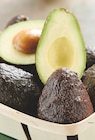 Avocat affiné dans le catalogue Intermarché