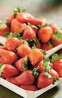 Intermarché Illiers-Combray - Promo Fraise Ronde Promo Fraise Ronde à 2,99 € dans le catalogue Intermarché à Illiers-Combray