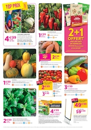 Offre Fruits Rouges dans le catalogue Delbard du moment à la page 6