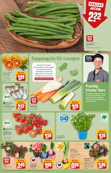 Pflanzen im REWE Prospekt "Dein Markt" mit 32 Seiten (Nürnberg)