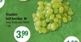 Trauben hell kernlos im Angebot bei V-Markt in Augsburg Trauben hell kernlos Angebote bei V-Markt Augsburg für 3,99 €