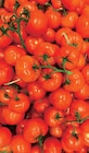 Tomates rondes en grappes à Norma dans Berrwiller