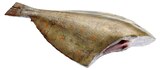 Aktuelle Fisch Angebote bei REWE in Leipzig Aktuelles Scholle Angebot bei REWE in Leipzig ab 1,59 €