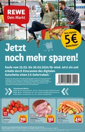 REWE Prospekt "Dein Markt" für Stuttgart, 30 Seiten, 25.03.2024 - 30.03.2024