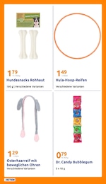 Action Tierbedarf im Prospekt 