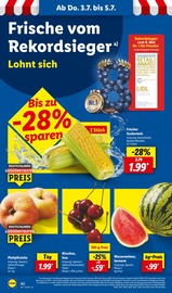 Zuckermais im Lidl Prospekt in Bielefeld Aktueller Lidl Prospekt mit Zuckermais, "LIDL LOHNT SICH", Seite 60