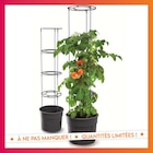 B&M Yzeure - Promo Pot de culture a tomate Promo Pot de culture a tomate à 7,00 € dans le catalogue B&M à Yzeure