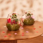 Promo Terrarium à 11,99 € dans le catalogue Carrefour à Margencel