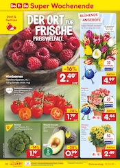 Aktueller Netto Marken-Discount Prospekt mit Tulpen, "Aktuelle Angebote", Seite 48