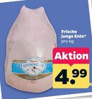 Frische junge Ente im Angebot bei Netto mit dem Scottie in Eberswalde Frische junge Ente Angebote von Dunagut bei Netto mit dem Scottie Eberswalde für 4,99 €