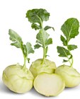 Kohlrabi von  im aktuellen Penny Prospekt für 0,44 €