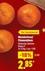 Mandarinen im aktuellen Lidl Prospekt