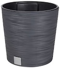 Blumentopf FURO Rund Angebote von Prosperplast bei Penny Ulm für 7,99 €