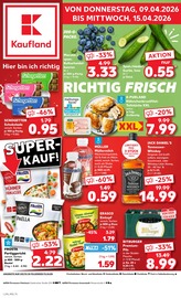 Kaufland Supermarkt Prospekt der aktuellen Woche mit 58 Seiten, gültig von 09.04.2026 bis 15.04.2026, in Waldfischbach-Burgalben und Umgebung Aktueller Kaufland Supermarkt Prospekt in Waldfischbach-Burgalben und Umgebung, "Aktuelle Angebote" mit 58 Seiten, 09.04.2026 - 15.04.2026