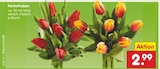 Herbsttulpen im Angebot bei Netto Marken-Discount in Lemgo Herbsttulpen Angebote bei Netto Marken-Discount Lemgo für 2,99 €
