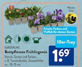 Beetpflanzen Frühlingsmix von GARDENLINE im aktuellen ALDI SÜD Prospekt