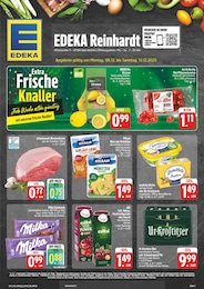 EDEKA Prospekt für Gera: "Wir lieben Lebensmittel!", 28 Seiten, 08.12.2025 - 13.12.2025