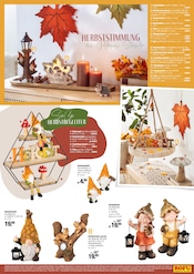 Ähnliche Angebote wie Adventskranz im Prospekt "AUTUMN VIBES in Boho-Chic" auf Seite 2 von Rofu Kinderland in Bensheim