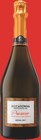 DOC Prosecco Extra Dry - RICCADONNA en promo chez Intermarché Maubeuge à 6,25 €