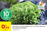 Intermarché Super Saintes - Promo Salade laitue batavia et laitue feuille de chène blonde Promo Salade laitue batavia et laitue feuille de chène blonde à 0,99 € dans le catalogue Intermarché Super à Saintes