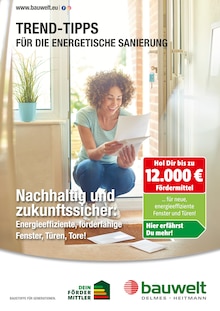 Delmes Bauwelt Prospekt Trend-Tipps für die energetische Sanierung mit 11 Seiten
