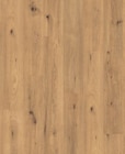 Laminat 7.0 im Angebot bei Hornbach in Offenbach Laminat 7.0 Angebote bei Hornbach Offenbach für 7,95 €
