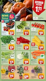 Deko-Blumen Angebot im aktuellen REWE Prospekt auf Seite 7