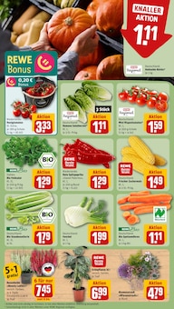 Granatapfel Angebot im aktuellen REWE Prospekt auf Seite 7