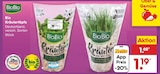 Bio KrĂ€utertöpfe im Netto Marken-Discount Prospekt Bio KrĂ€utertöpfe von BioBio im aktuellen Netto Marken-Discount Prospekt fĂŒr 1,19 âŹ