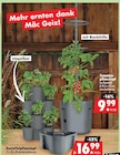 Tomatenpflanztopf im Angebot bei Mäc-Geiz in Stendal Tomatenpflanztopf Angebote bei Mäc-Geiz Stendal für 9,99 €
