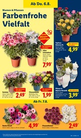 Aktueller Lidl Prospekt mit Deko, "LIDL LOHNT SICH", Seite 7
