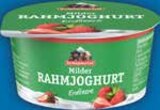Milder Rahmjoghurt im EDEKA Prospekt Milder Rahmjoghurt von Berchtesgadener Land im aktuellen EDEKA Prospekt für 0,59 €