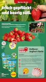 Erdbeeren im Penny Prospekt in Stralsund Aktueller Penny Prospekt mit Erdbeeren, "Wer günstig will, muss Penny.", Seite 6