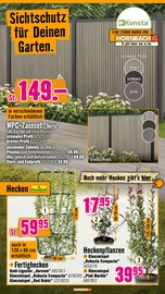 Glanzmispel im Hornbach Prospekt in Pforzheim Aktueller Hornbach Prospekt mit Glanzmispel, "Du willst es. Dann bau es.", Seite 13