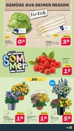 Spargel im Netto mit dem Scottie Prospekt in Dresden Aktueller Netto mit dem Scottie Prospekt mit Spargel, "Günstig. Besser. Für Dich.", Seite 4