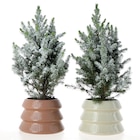 Promo Mini sapin décoré à 14,99 € dans le catalogue Jardiland à Niort