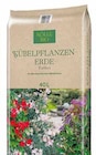 Kübelpflanzen-Erde – Torffrei für 11,99 € bei Pflanzen Kölle im Angebot Kübelpflanzen-Erde – Torffrei im aktuellen Pflanzen Kölle Prospekt
