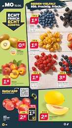 Beeren Angebot & Preis im aktuellen Netto mit dem Scottie Prospekt Beeren Angebot im aktuellen Netto mit dem Scottie Prospekt auf Seite 2