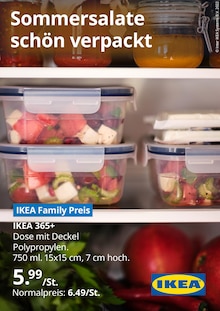 Der aktuelle IKEA Prospekt Sommersalate schön verpackt