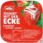 Joghurt mit der Ecke bei Netto mit dem Scottie im Doberlug-Kirchhain Prospekt für 0,33 €